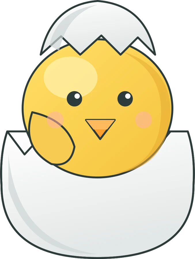 Hatching chick