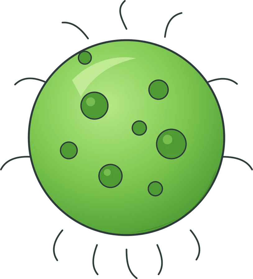 Germ
