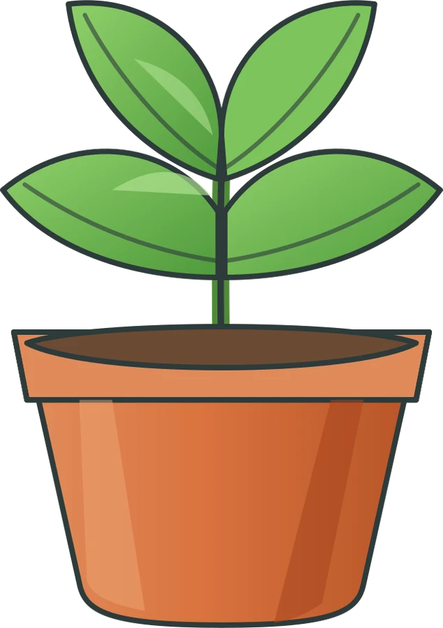 Young plant