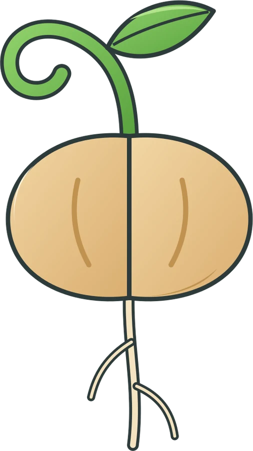 Sprouting seed