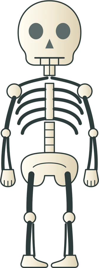 Skeleton