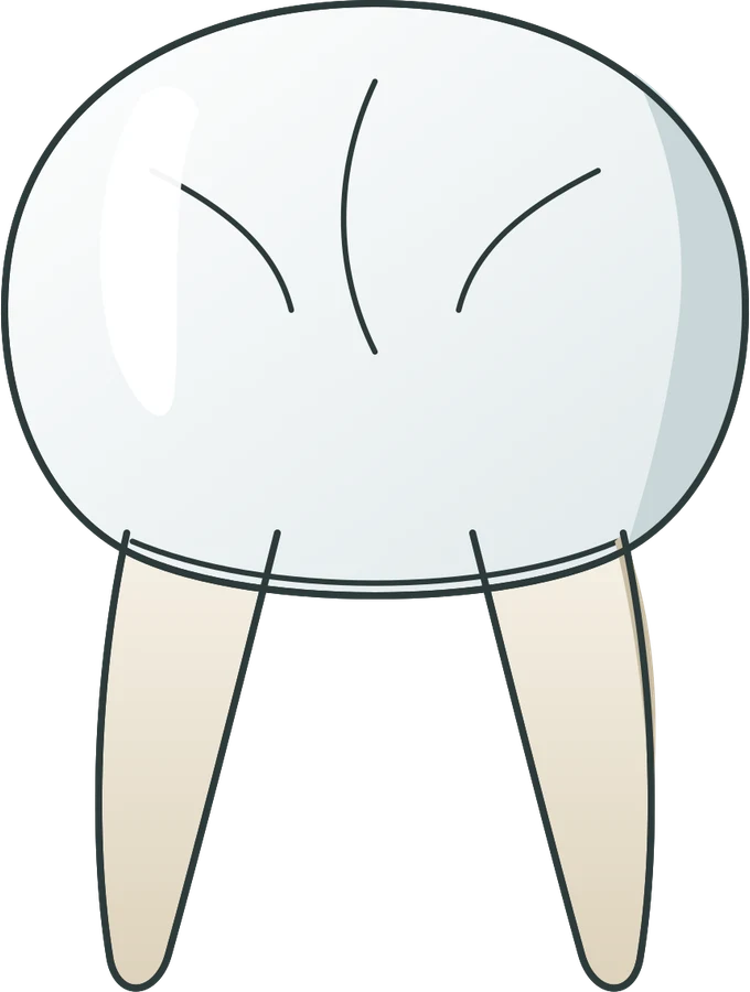 Tooth